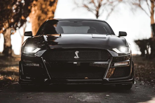 Pure Casino App Android/iOS